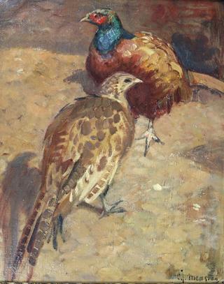 A Pair of Pheasants