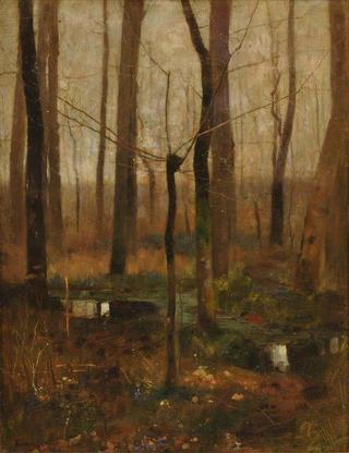 Alone: Early Spring Woodland