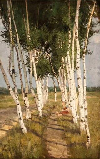 Birch Avenue III