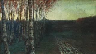 Birch Grove at Dusk