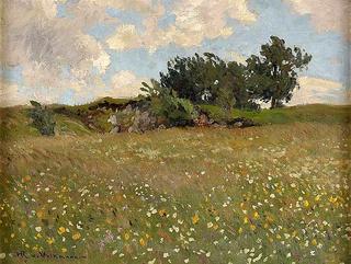 Meadow in bloom
