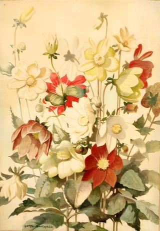 Summer Flowers