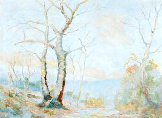 Trees Growing by Creek
