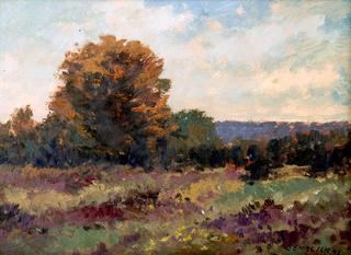 Autumn Landscape