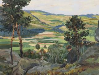 A Reader in a Landscape
