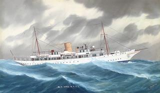 The Royal Thames Yacht Club's Motor Yacht Vita in Stormy Seas