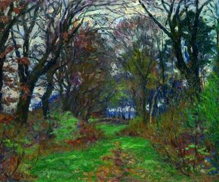 Forest Path in the Fall
