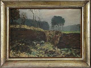Peat Bog at Worpswede