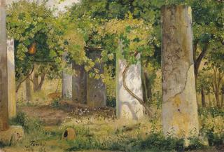 A Pergola with Grapes