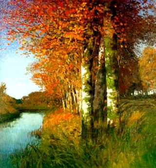 Birch trees near a Moor ditch