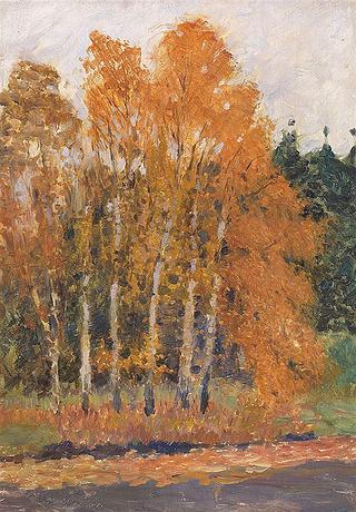 Birch Trees in Autumn