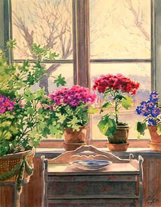 Houseplants