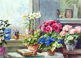 Cooksville living room with vases with bunch of flowers