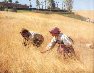 Harvest in Civita d'Antino