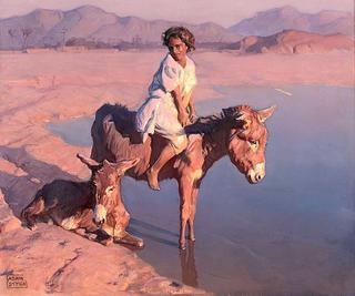 On a Donkey's Back