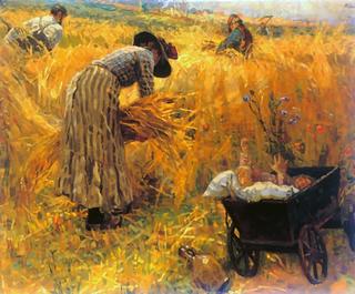 Harvest at Quelkhorn hill