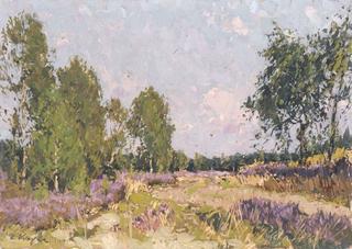 Blooming Heather near Worpswede
