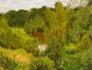 Pond with young birch trees