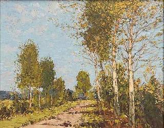 Birch tree road