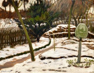 Garden in snow