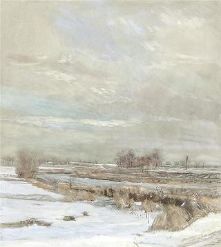 Frozen duck pond