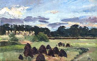 Moorland with peat stacks