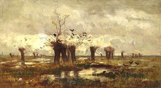 Moorland with pollard willows