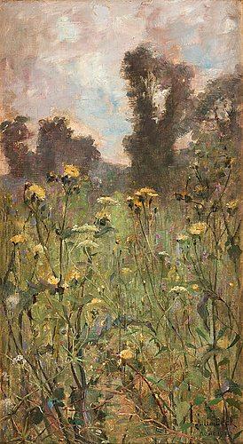 Wild flowers in French meadow