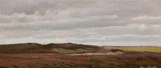 Moor Landscape, Denmark