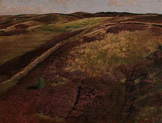 A hilly moor, Svannige Bakker