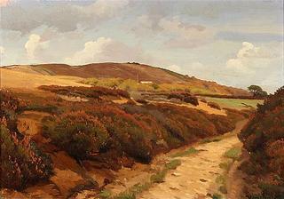 A moor covered in heather, Denmark