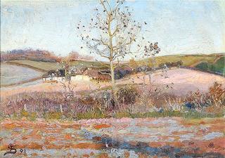 A hilly Autumn landscape