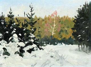 Winter Landscape