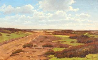 Road through a moor near Skive, Denmark