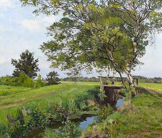 Moor ditch near Worpswede