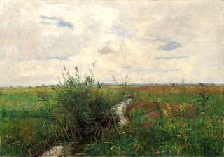 Wide meadow with small stream