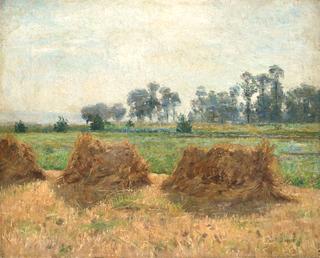 Landscape with grain yarns near Knokke