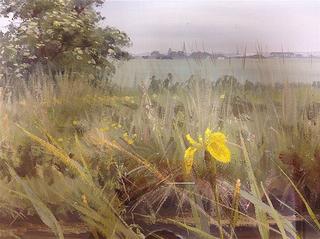 Yellow Flag