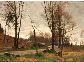 Evening Landscape
