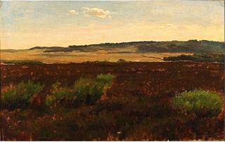 View of a moor