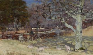 Sheep by a sun dappled road