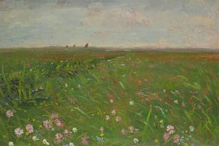 Meadows near the Hamme