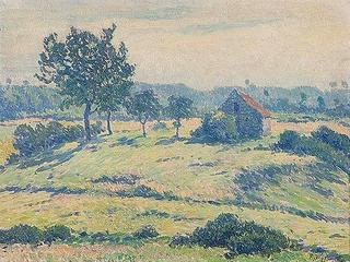Sunny Landscape