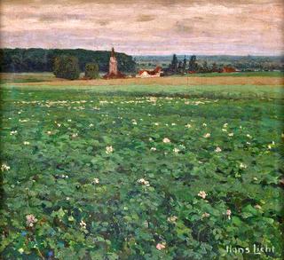 View into an Elbe plain