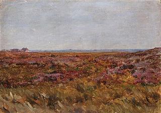 The Heath