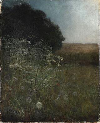 Landscape with bushes, lace and dandelions puffs