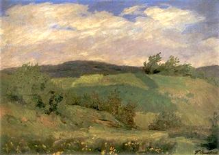 Summer Landscape with Blooming Flowers