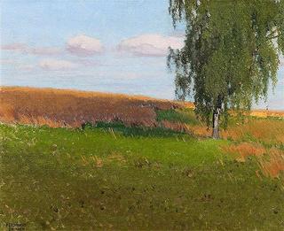 Oat field with birch tree