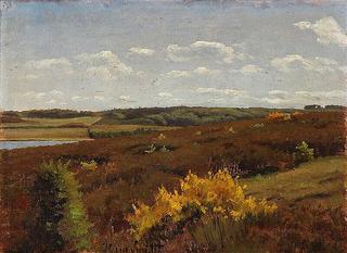 Goldenrod on the Heath