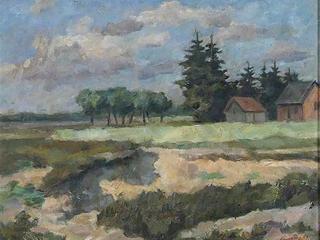 Houses and Evergreen Trees